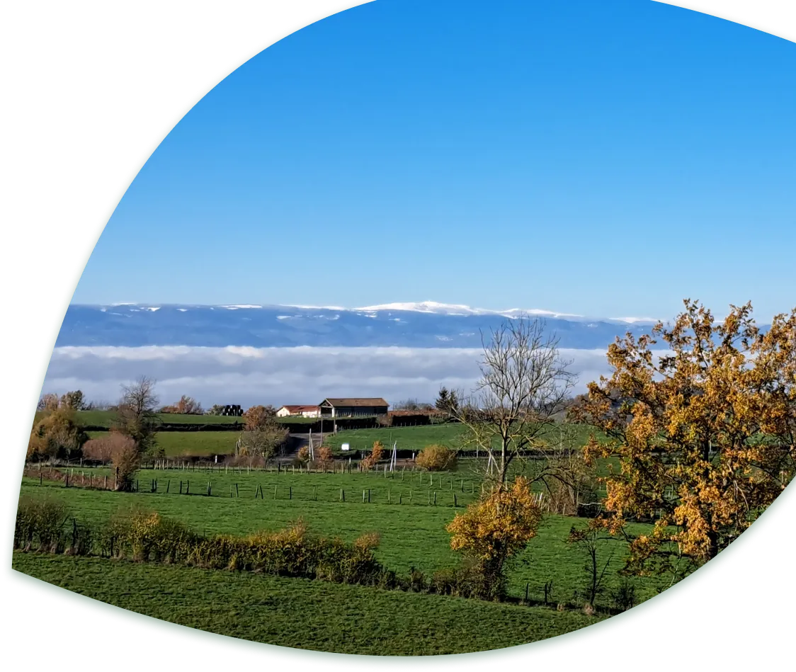 Paysage naturel